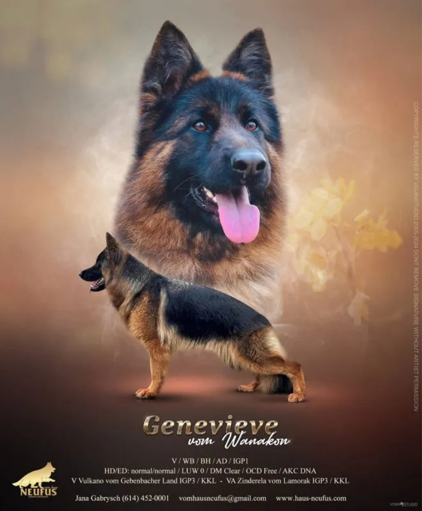 Genevieve vom Wanakon