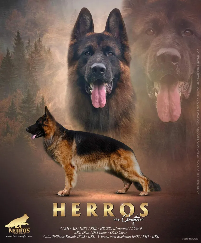Herros aus Gerstbrei