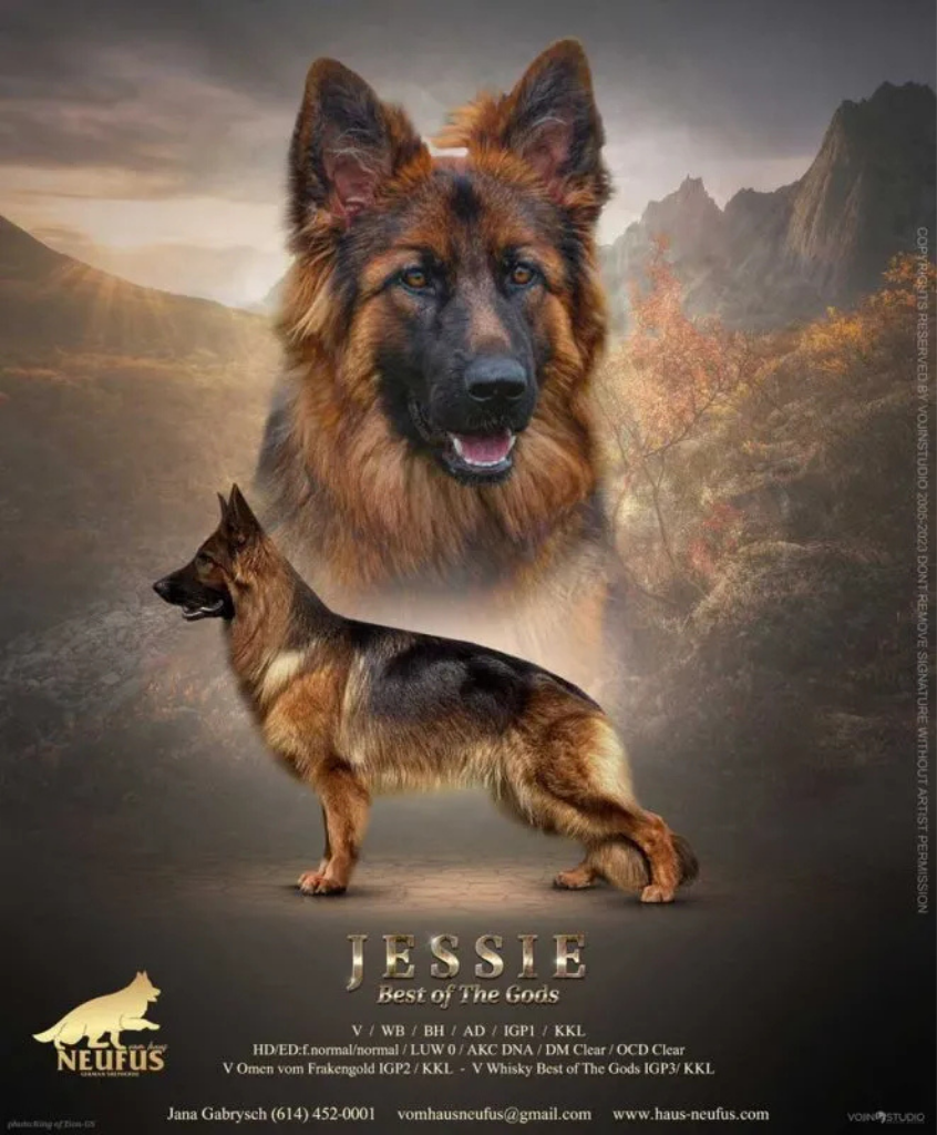 Jessie Best Of The Gods