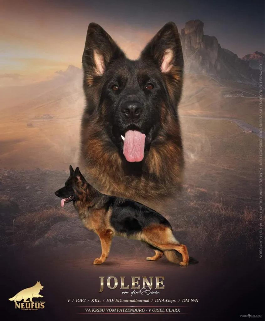 Jolene von den Bären