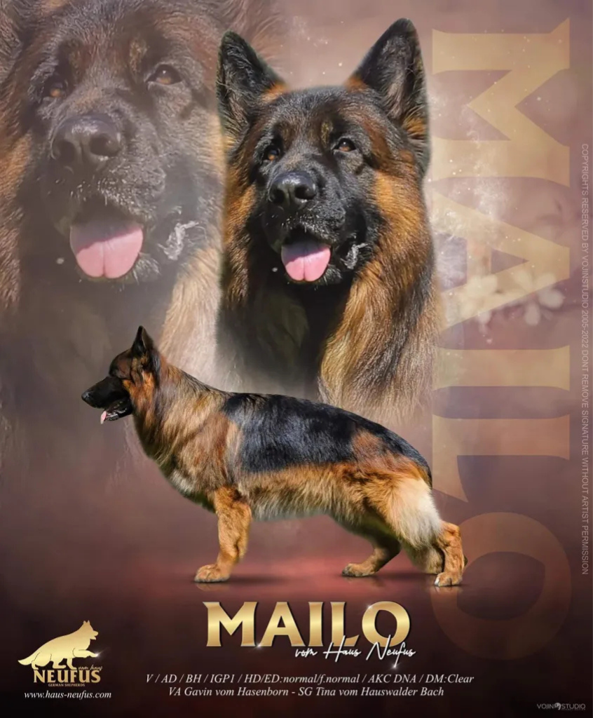 Mailo vom Haus Neufus