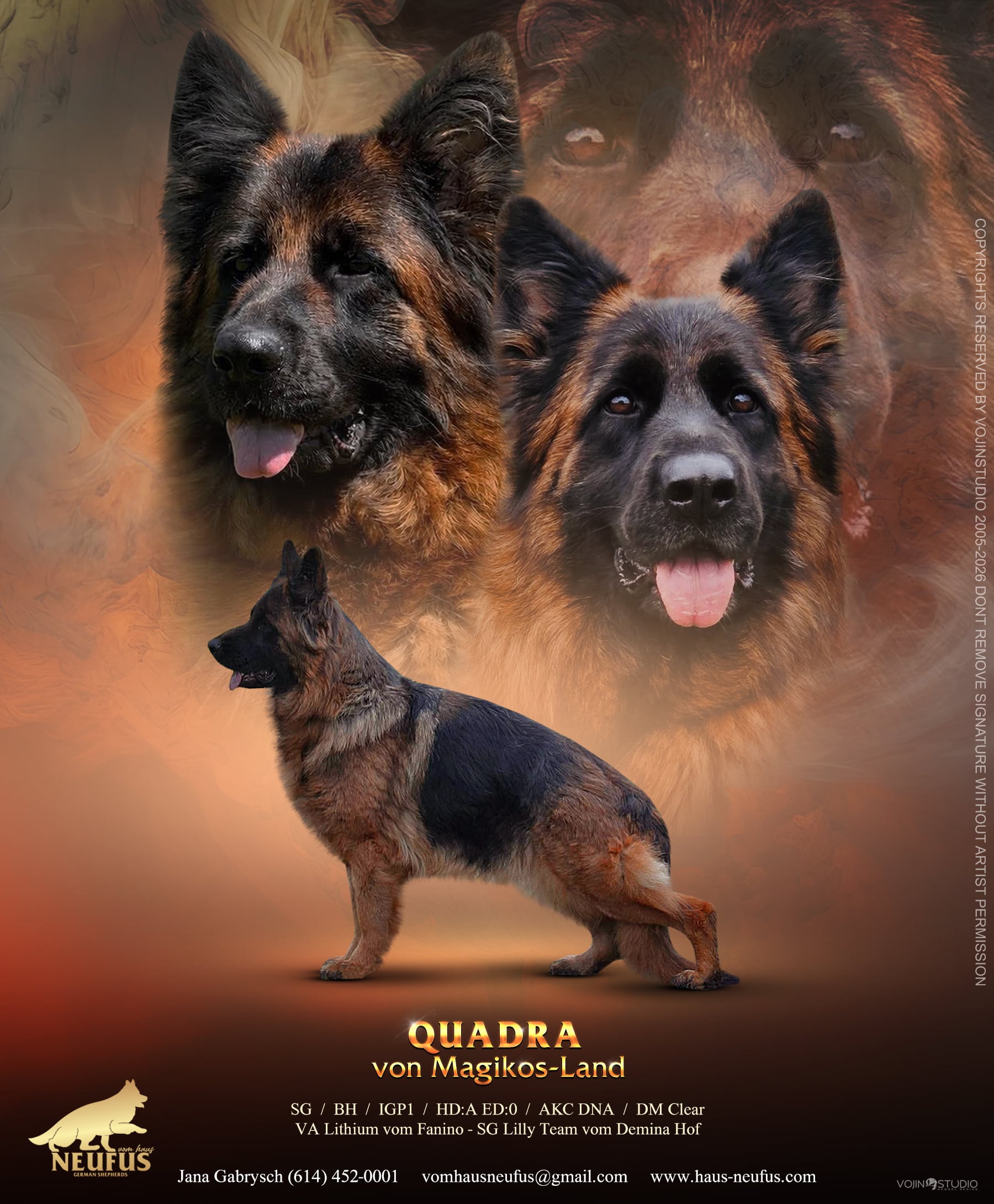 Quadra von Magikos-Land
