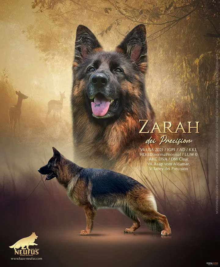 Zarah dei Precision